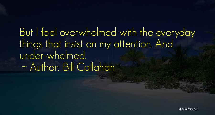 Bill Callahan Quotes 1770922