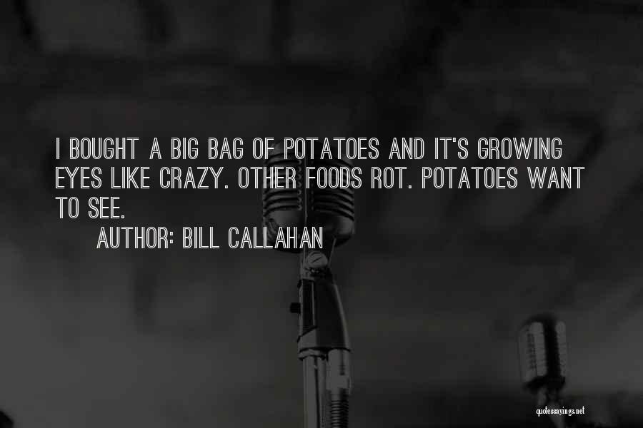 Bill Callahan Quotes 2170579