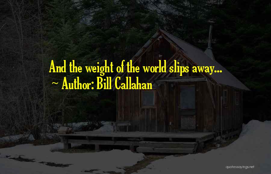 Bill Callahan Quotes 2228178