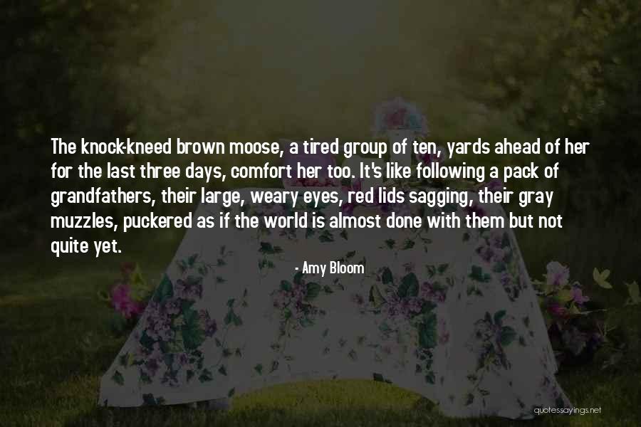 Bill Capri Quotes By Amy Bloom Bill Capri Quotes By Amy Bloom