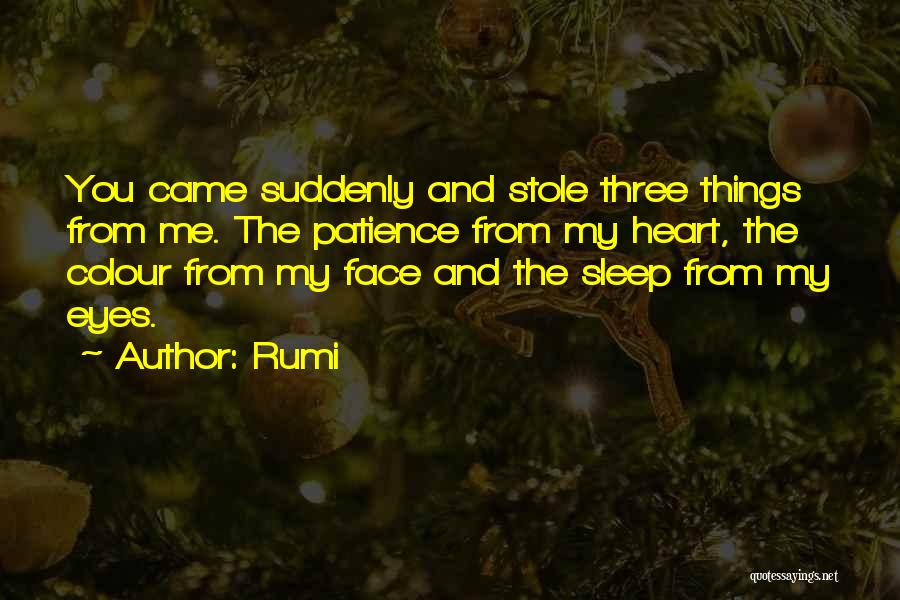 Bill Easterly Quotes By Rumi