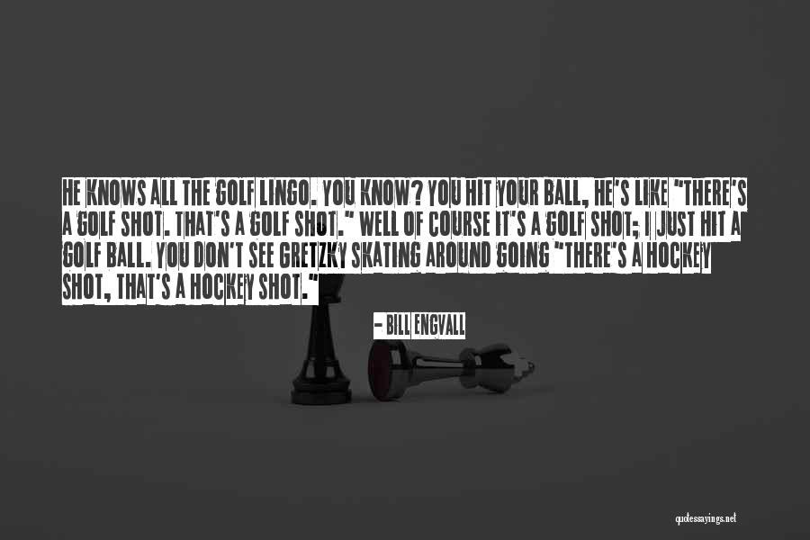 Bill Engvall Quotes 1487811