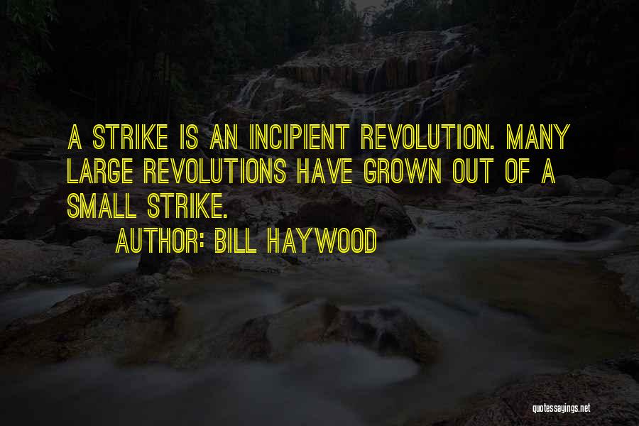 Bill Haywood Quotes 804790
