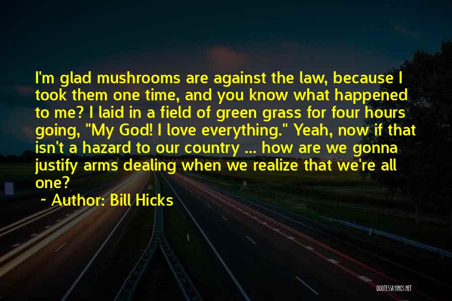 Bill Hicks Quotes 1490591