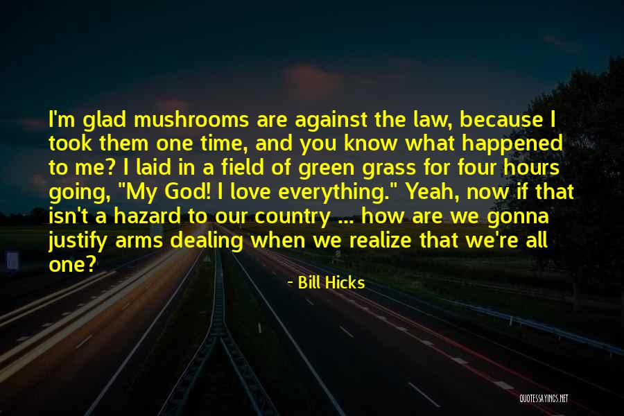 Bill Hicks Quotes 1490591