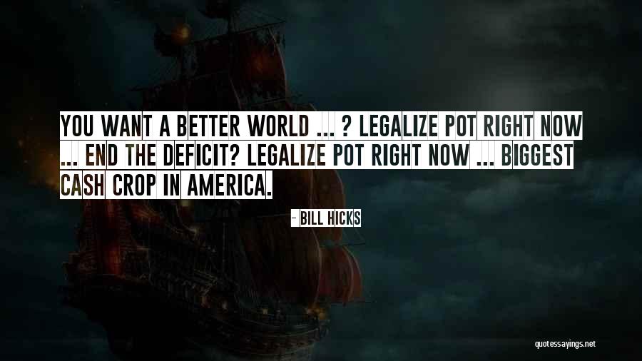 Bill Hicks Quotes 330462