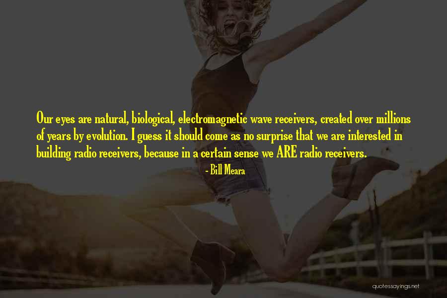 Bill Meara Quotes 1273961 Bill Meara Quotes 1273961