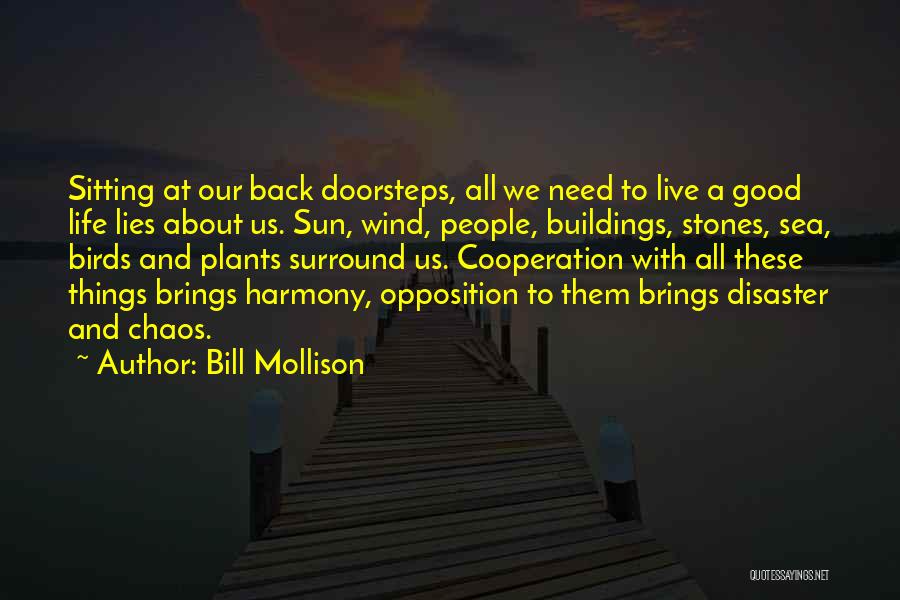 Bill Mollison Quotes 1346998