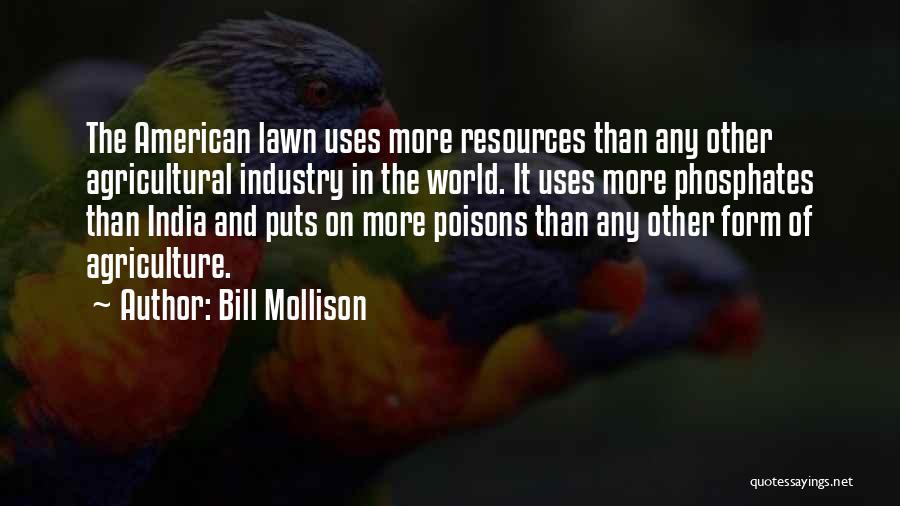 Bill Mollison Quotes 1480365