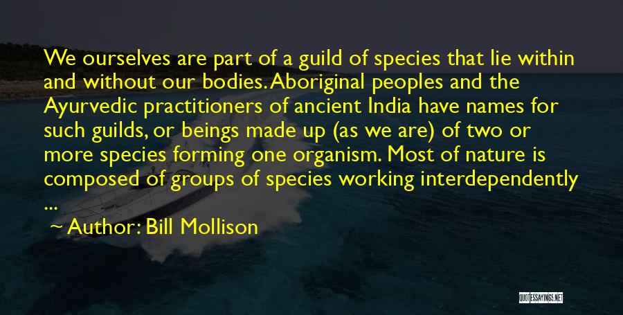 Bill Mollison Quotes 1723438