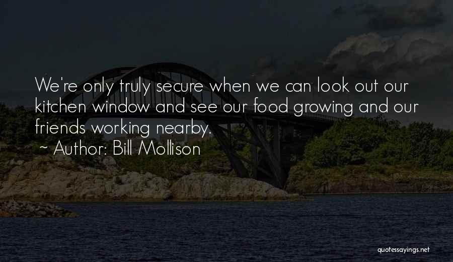 Bill Mollison Quotes 1914407