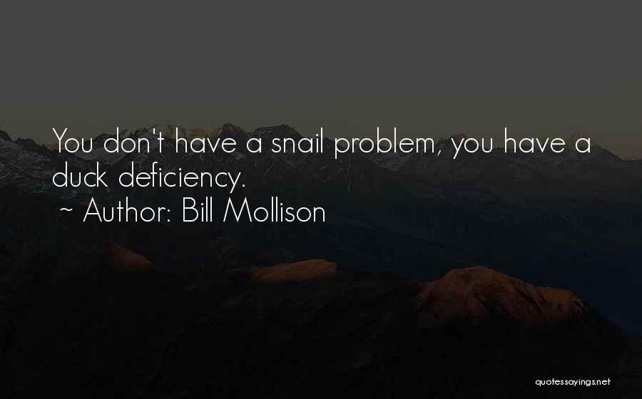 Bill Mollison Quotes 528865