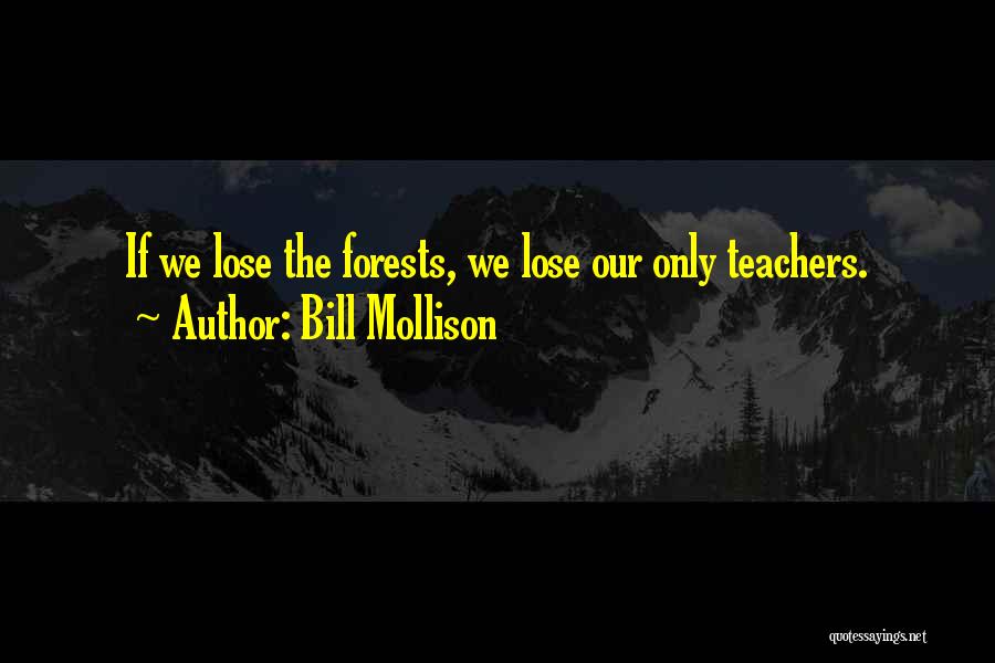 Bill Mollison Quotes 968048