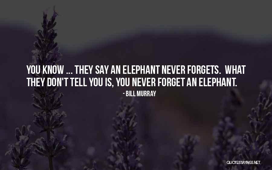 Bill Murray Quotes 1060159 Bill Murray Quotes 1060159