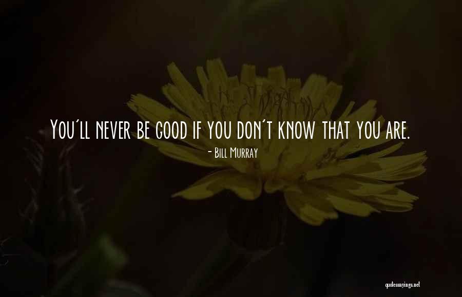 Bill Murray Quotes 115163 Bill Murray Quotes 115163