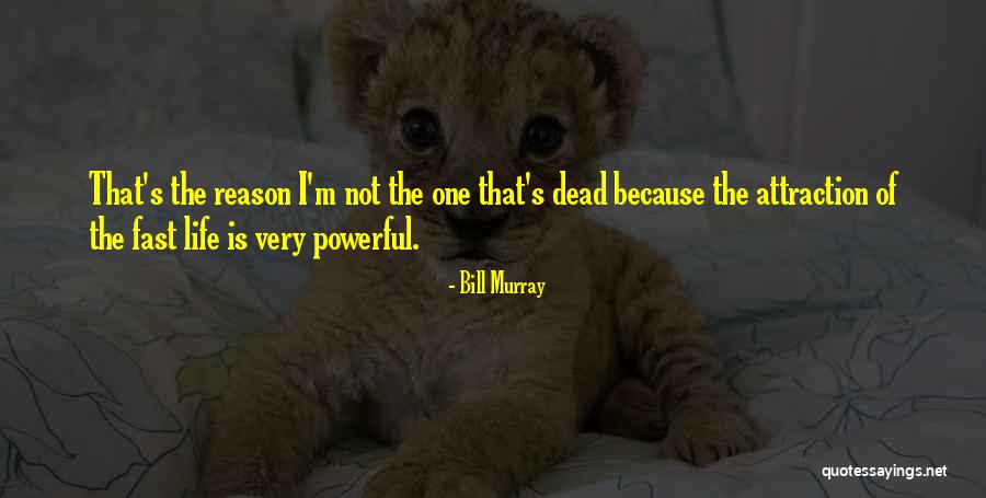 Bill Murray Quotes 1281492 Bill Murray Quotes 1281492