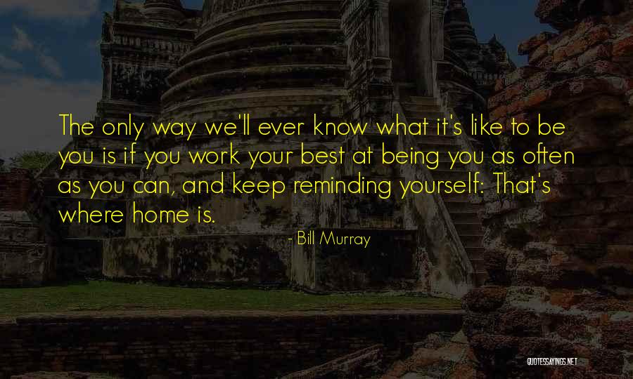 Bill Murray Quotes 1748330 Bill Murray Quotes 1748330