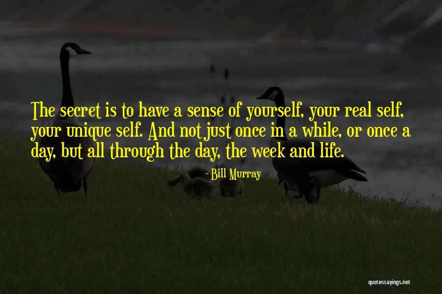 Bill Murray Quotes 2220136 Bill Murray Quotes 2220136