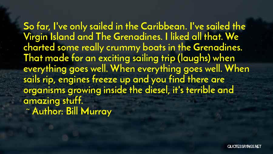 Bill Murray Quotes 699896