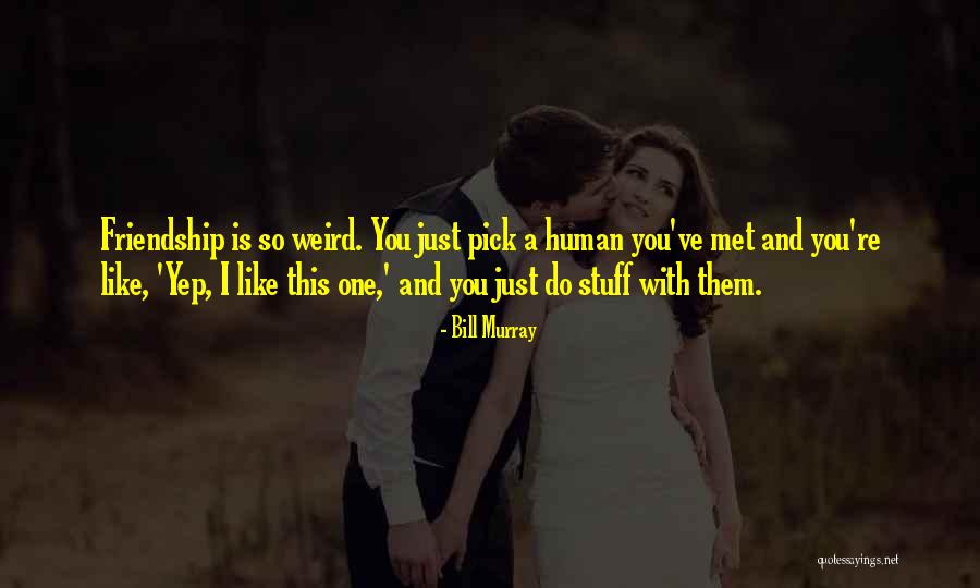 Bill Murray Quotes 955450 Bill Murray Quotes 955450