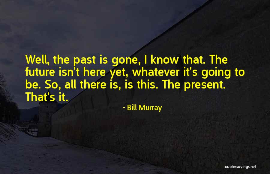 Bill Murray Quotes 961566