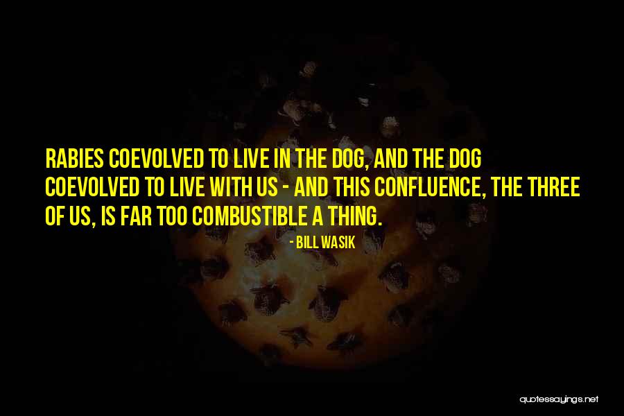 Bill Wasik Quotes 388059 Bill Wasik Quotes 388059