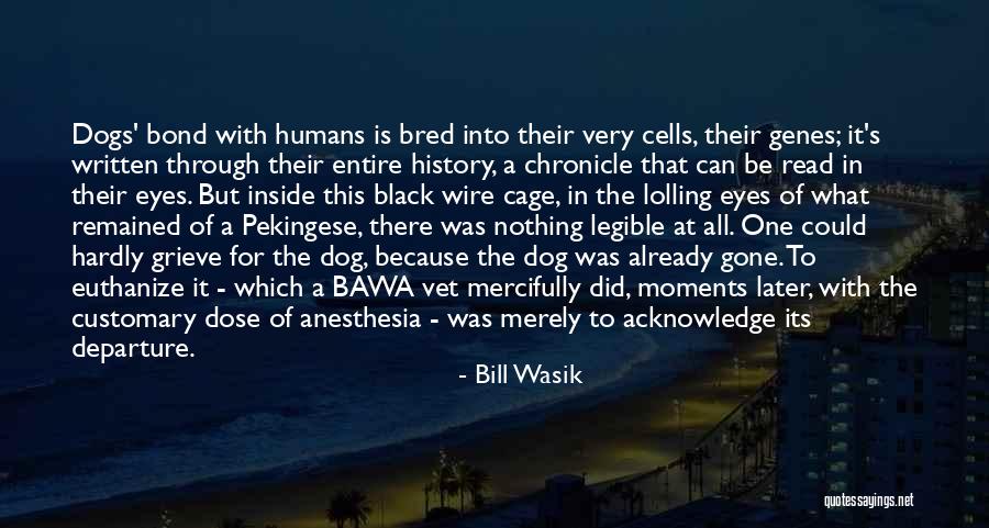 Bill Wasik Quotes 89520 Bill Wasik Quotes 89520