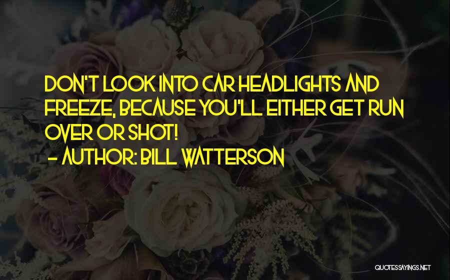 Bill Watterson Quotes 1949610