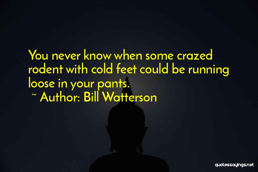 Bill Watterson Quotes 243172