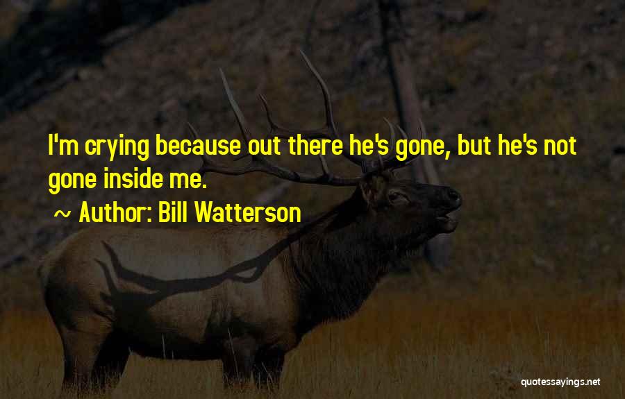 Bill Watterson Quotes 784060