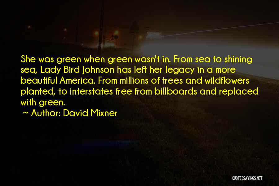 Billboards Quotes By David Mixner