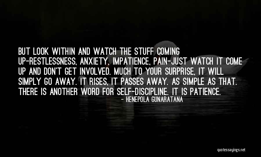 Billfold With Money Quotes By Henepola Gunaratana Billfold With Money Quotes By Henepola Gunaratana