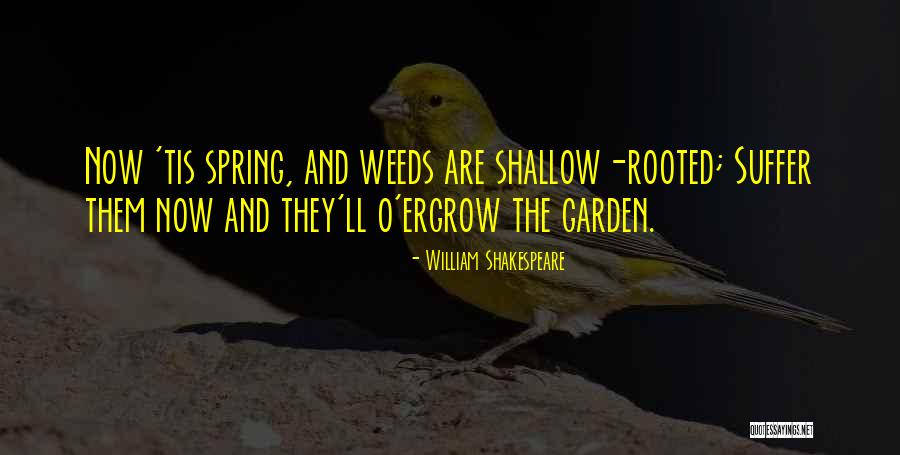 Billick Rock Quotes By William Shakespeare Billick Rock Quotes By William Shakespeare
