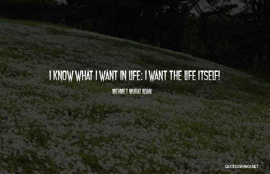 Billie Jean Movie Quotes By Mehmet Murat Ildan Billie Jean Movie Quotes By Mehmet Murat Ildan