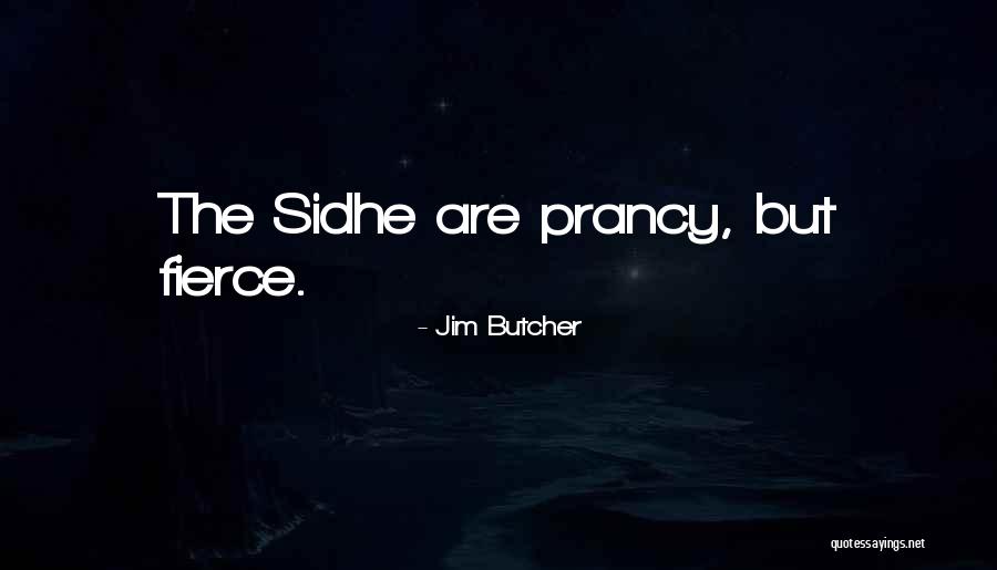 Billroth 2 Quotes By Jim Butcher Billroth 2 Quotes By Jim Butcher