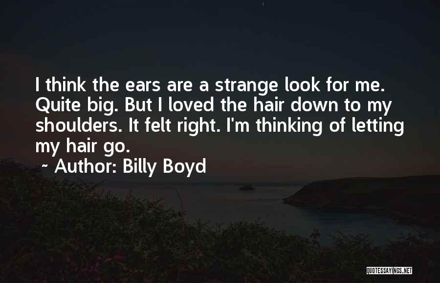 Billy Boyd Quotes 1084786