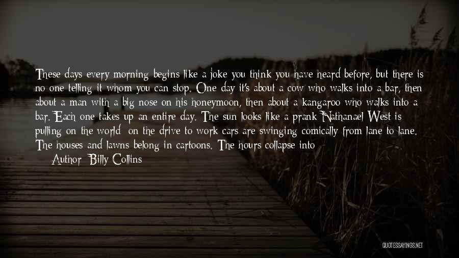 Billy Collins Quotes 2157796