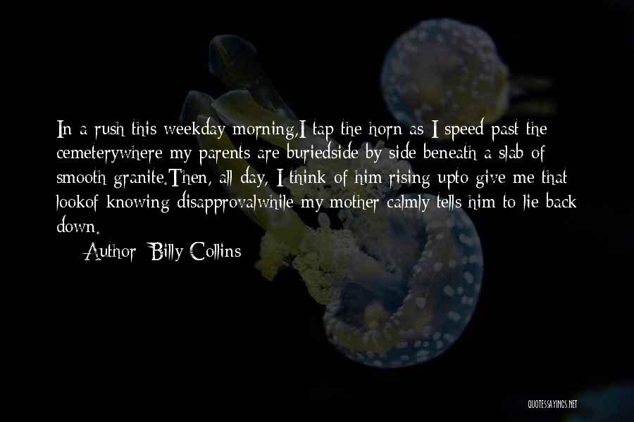 Billy Collins Quotes 508872