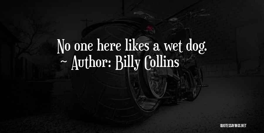 Billy Collins Quotes 830122