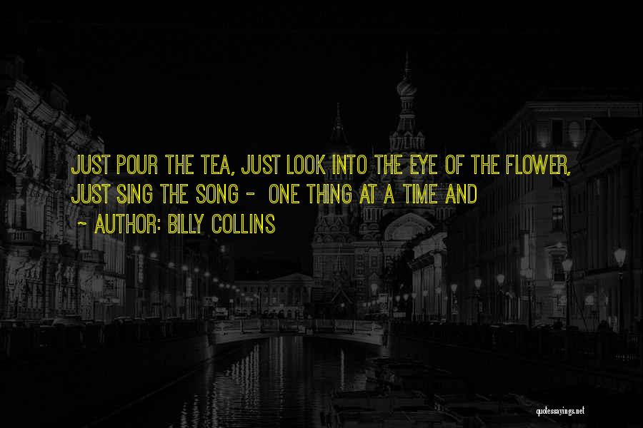 Billy Collins Quotes 894839