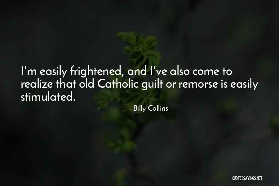 Billy Collins Quotes 91968