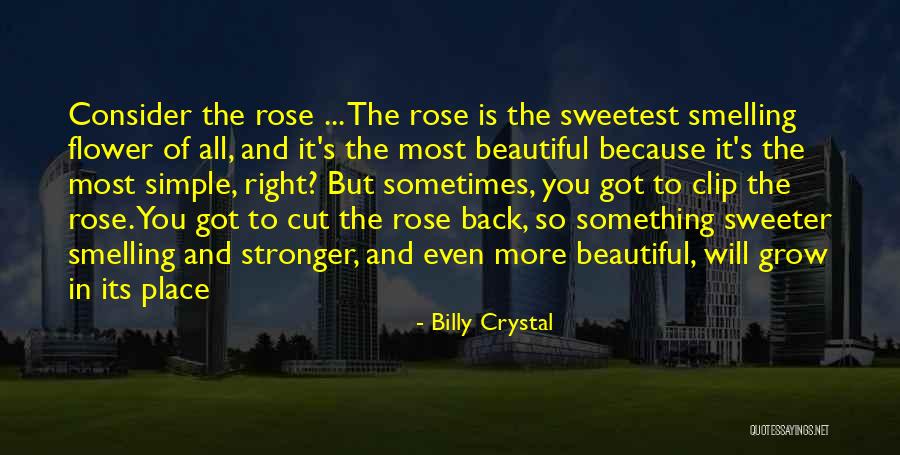 Billy Crystal Quotes 2265733 Billy Crystal Quotes 2265733