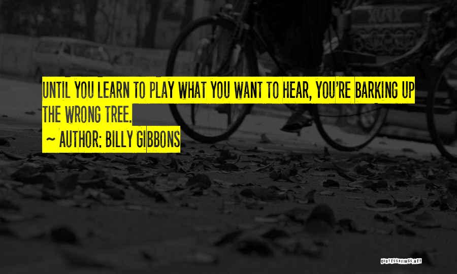 Billy Gibbons Quotes 186118