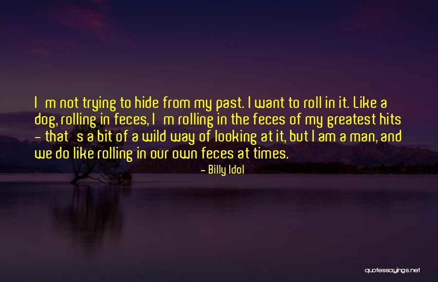 Billy Idol Quotes 258529 Billy Idol Quotes 258529