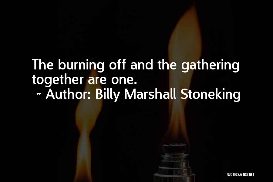 Billy Marshall Stoneking Quotes 2234431
