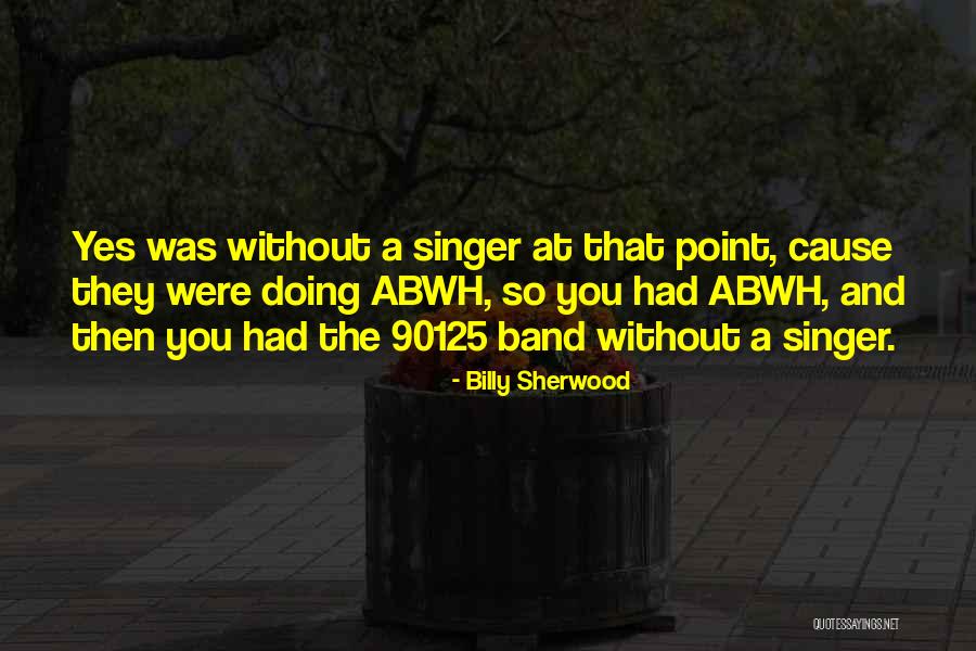 Billy Sherwood Quotes 922046