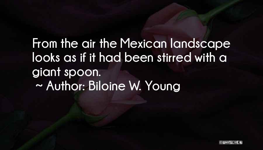 Biloine W. Young Quotes 1677857