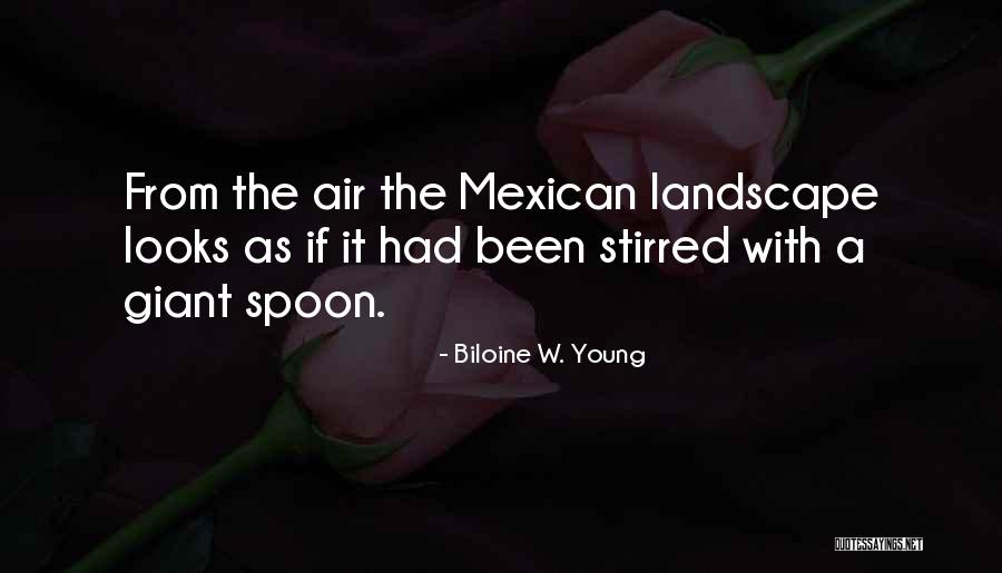 Biloine W. Young Quotes 1677857