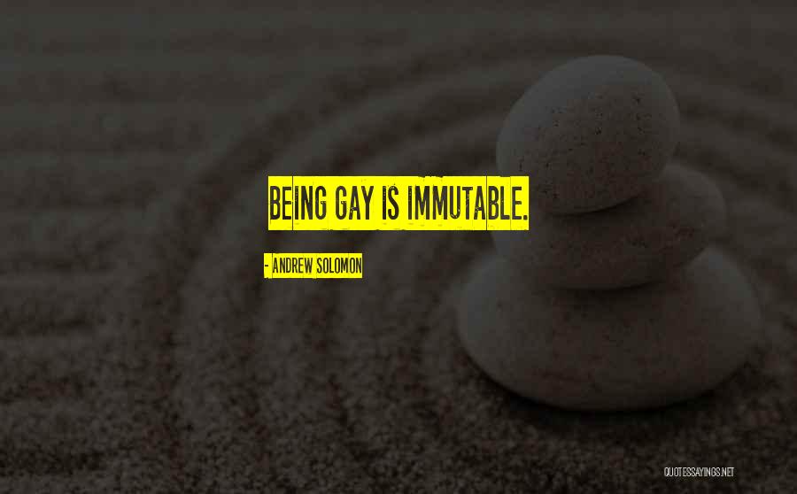 Bimbam Chayei Quotes By Andrew Solomon Bimbam Chayei Quotes By Andrew Solomon