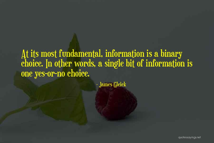 Binary Quotes By James Gleick Binary Quotes By James Gleick